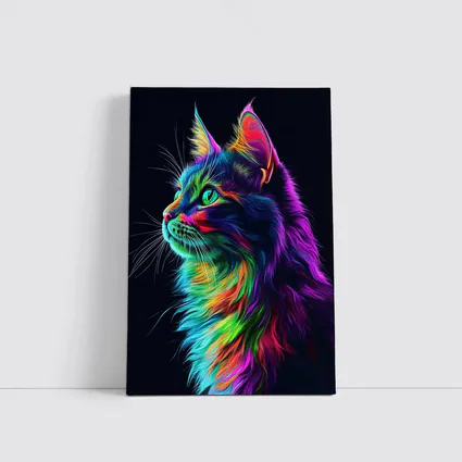 Neon Rainbow Maine Coon Cat Black Background