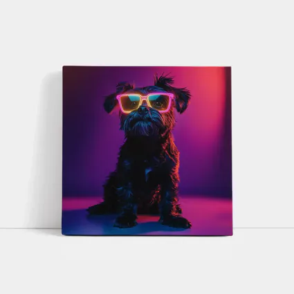 Black Affenpinscher Dog Neon Sunglasses Purple Background