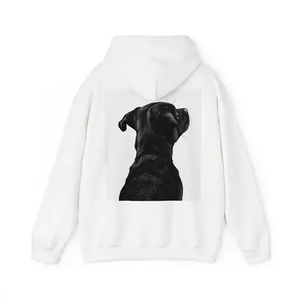 Black Labrador Dog Looking Up White Background