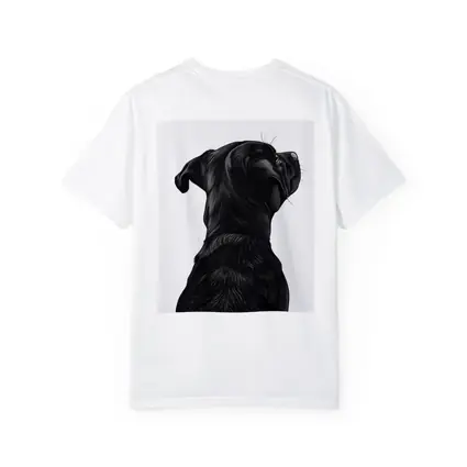 Black Labrador Dog Looking Up White Background