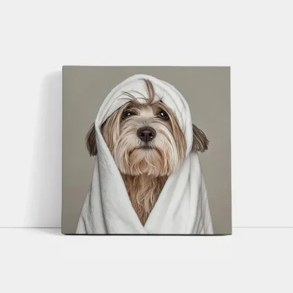 Fluffy Dog Wrapped In White Towel