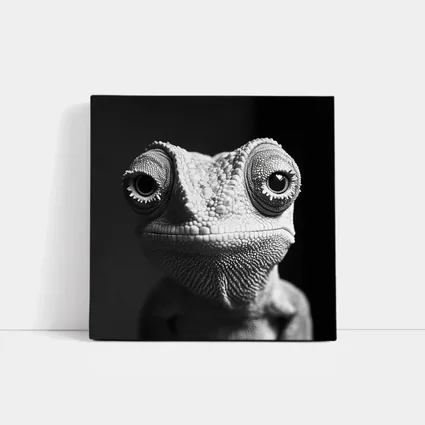 Chameleon Close Up Black White Portrait