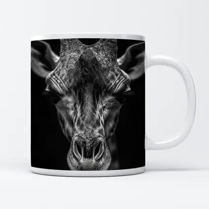 Giraffe Close Up Dark Black Background Portrait