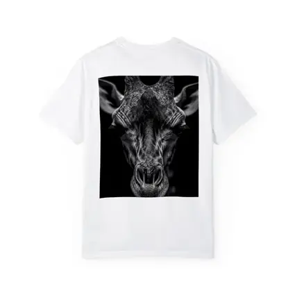 Giraffe Close Up Dark Black Background Portrait