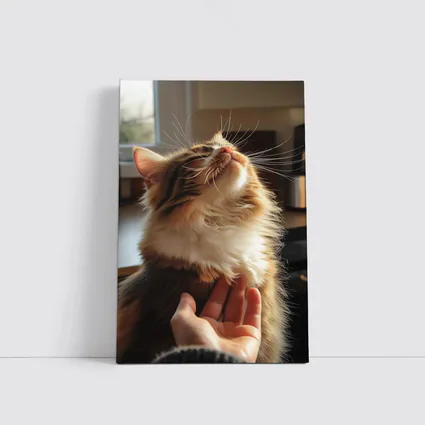 Fluffy Calico Cat Enjoying Indoor Chin Scratch