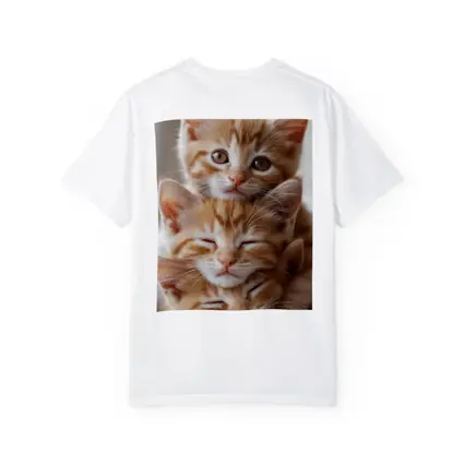 Two Orange Tabby Kittens Soft Light Background