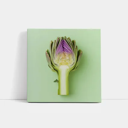 Artichoke Cross Section on Mint Green Background