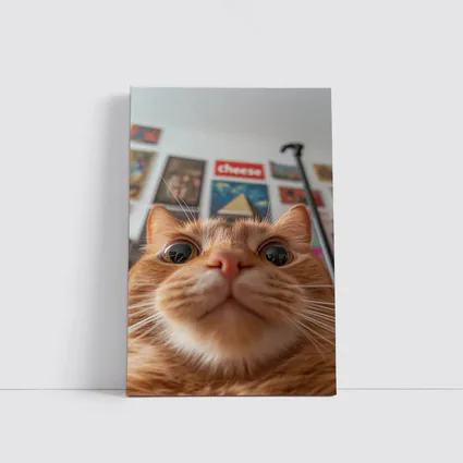Orange Tabby Cat Close Up Selfie