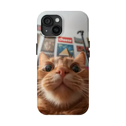 Orange Tabby Cat Close Up Selfie