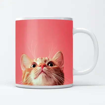 Ginger Tabby Cat Looking Up Pink Background