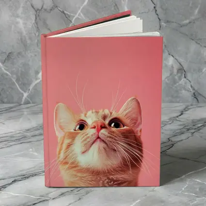 Ginger Tabby Cat Looking Up Pink Background