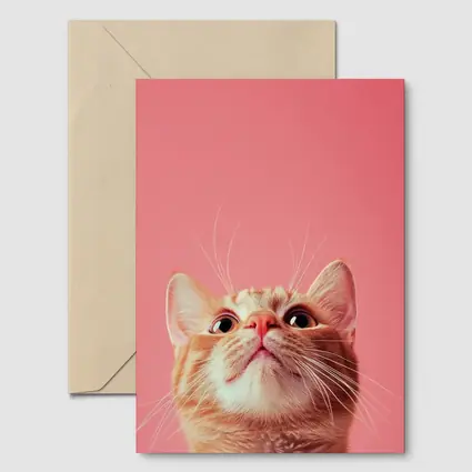 Ginger Tabby Cat Looking Up Pink Background