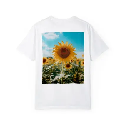 Sunflower Field Blue Sky Summer Day