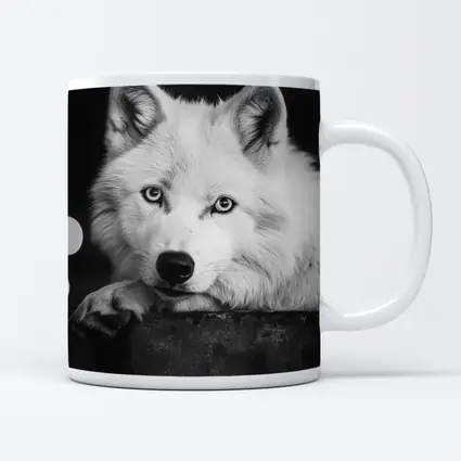 White Wolf Close Up Black White Portrait