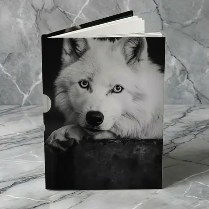 White Wolf Close Up Black White Portrait