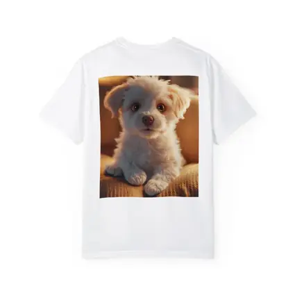 Fluffy White Maltese Puppy On Couch