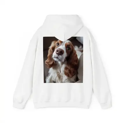 Cavalier King Charles Spaniel On Cozy Sofa