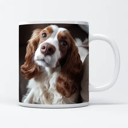 Cavalier King Charles Spaniel On Cozy Sofa