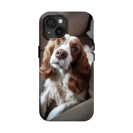 Cavalier King Charles Spaniel On Cozy Sofa