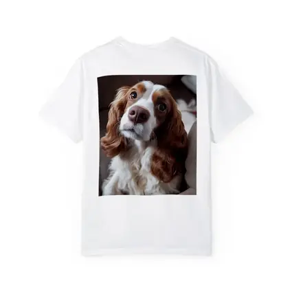 Cavalier King Charles Spaniel On Cozy Sofa