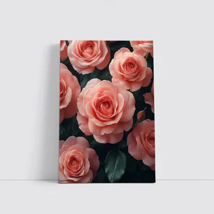 Pink Roses Blooming Against Dark Background