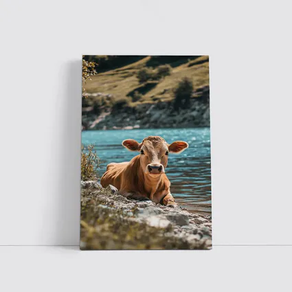 Young Calf Resting By Mountain Lake