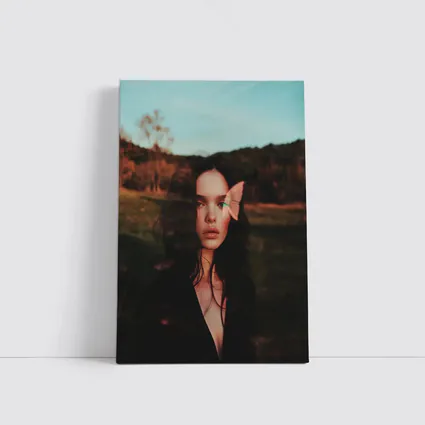 Young Woman Portrait Butterfly Nature Dusk