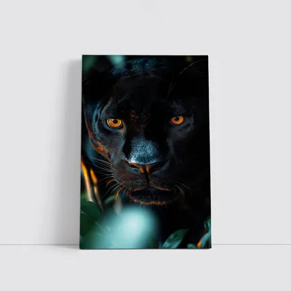 Black Panther Close Up Green Jungle Background