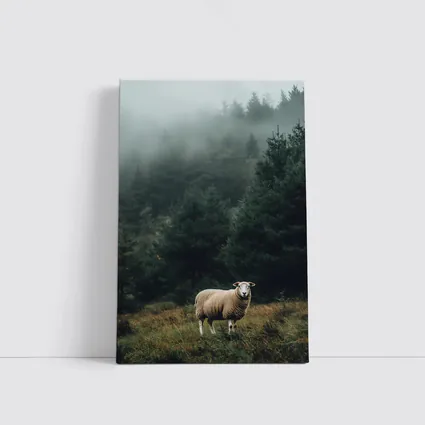 Lone Sheep Misty Forest Highland Landscape