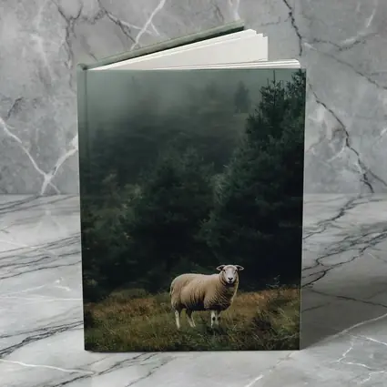 Lone Sheep Misty Forest Highland Landscape