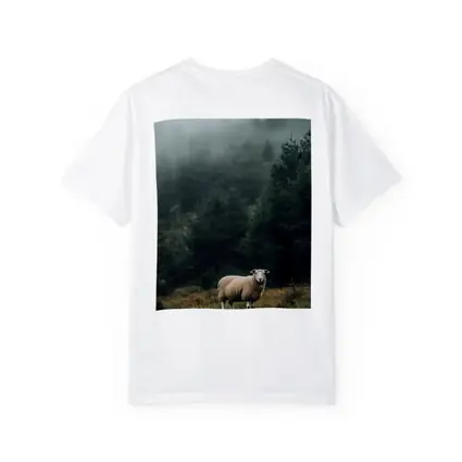 Lone Sheep Misty Forest Highland Landscape