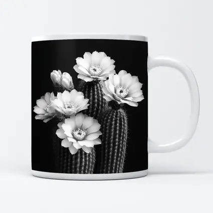 Black And White Cactus Flowers Dark Background