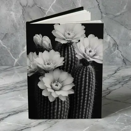 Black And White Cactus Flowers Dark Background