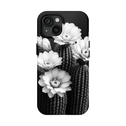 Black And White Cactus Flowers Dark Background