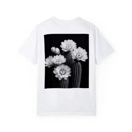 Black And White Cactus Flowers Dark Background