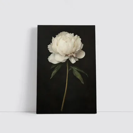 White Peony Dark Background Botanical Oil Painting