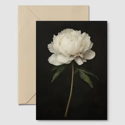 White Peony Dark Background Botanical Oil Painting