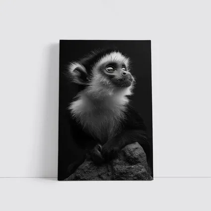 Black and White Monkey Portrait Dark Background