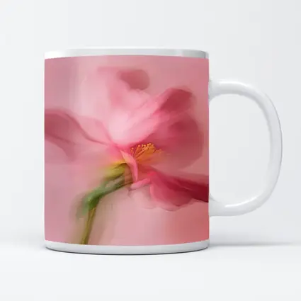 Pink Cosmos Flower Soft Blur Art