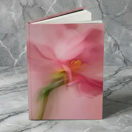 Pink Cosmos Flower Soft Blur Art