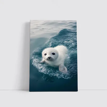 White Baby Seal Pup Swimming Blue Ocean