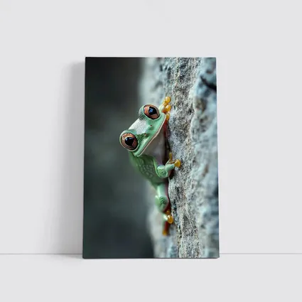 Green Tree Frog Climbing Gray Rock