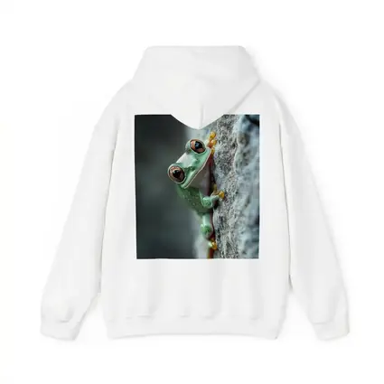 Green Tree Frog Climbing Gray Rock