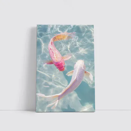 Pink White Koi Fish Clear Blue Water