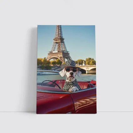 Dalmatian Dog Driving Red Car Paris
