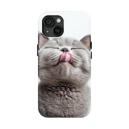 Gray British Shorthair Cat Licking Lips