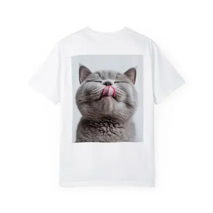 Gray British Shorthair Cat Licking Lips