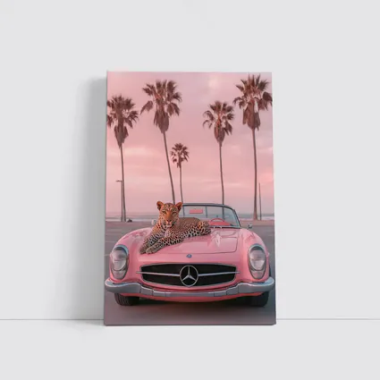 Leopard on Pink Mercedes Classic Car Beach