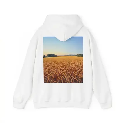 Golden Wheat Field Clear Summer Sky