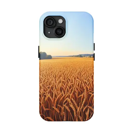 Golden Wheat Field Clear Summer Sky